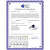 Image 2 : Genuine 1 ctw Sapphire Ring 14KT White Gold - REF-22F3Z
