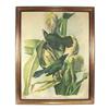 Image 1 : J.J. Audubon Antique 1858 Print "Purple Grackle#1187179
