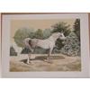 Image 1 : Mel Hunter, Arabian, Signed Lithograph #1219811