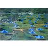 Image 1 : Signed Christo   Blue Umbrellas #1188072