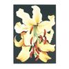 Image 1 : Signed Nesbit   Two Yellow Day Lillies #1188138