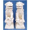 Image 1 : Attractive Dehua Porcelain Lion Statues #1188330