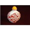 Image 1 : Peking Glass Snuff Bottle #1188487