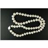 Image 1 : 7MM PEARL NECKLACE #1201298