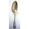 Image 1 : Mazarine Berry Spoon Large Dominick & Haff #1211842