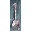Image 1 : Radiant Whiting pierced sterling ICE SPOON #1211854