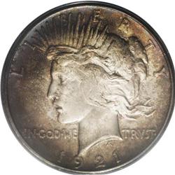 1921 S$1 MS65 PCGS. Rich red-brown, dark-green, gold, 