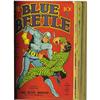 Image 1 : Blue Beetle, Big Shot Comics, the Arrow Bound Volume 