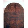 Image 4 : AN ETHNOGRAPHIC QUEENSLAND SHIELD (gulmari)