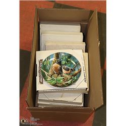 9 SET BIRDS OF YOUR GARDEN COLLECTOR PLATES