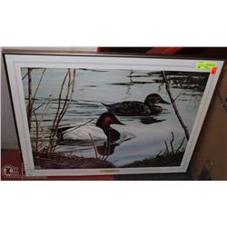 CANVAS BACK DUCKS PICTURE BY WILLIAM. S DE BEER