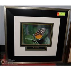 ARTIST PROOF LTD EDITION  ALICIA SOAVE SIGNED