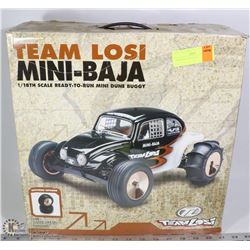TEAM LOSI MINI BAJA