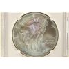 Image 1 : 2013 AMERICAN SILVER EAGLE NGC MS70 1ST RELEASES