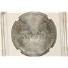 Image 2 : 2013 AMERICAN SILVER EAGLE NGC MS70 1ST RELEASES