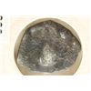 Image 1 : 27 B.C.-14 A.D. AUGUSTUS ANCIENT COIN