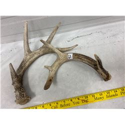 2 Deer Sheds