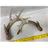 Image 1 : 2 Deer Sheds