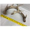 Image 2 : 2 Deer Sheds