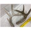 Image 1 : 2 Deer Sheds