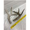 Image 2 : 2 Deer Sheds