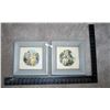 Image 1 : Donald Art Company USA Framed Prints