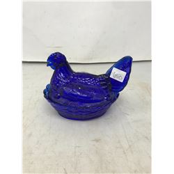 Cobalt Blue Hen On Nest