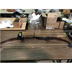 Bear' Compound Bow With Hunting Arrows