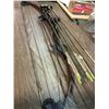 Image 3 : Bear' Compound Bow With Hunting Arrows