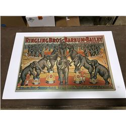 Ringling Brothers Barnum & Bailey Circus Poster