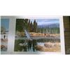 Image 4 : 6 FISHING AND HUNTING PRINTS