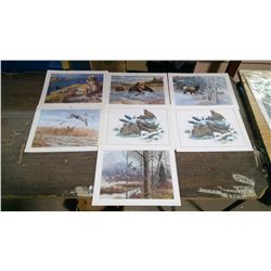 7 WILDLIFE PRINTS