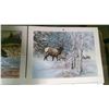 Image 6 : 7 WILDLIFE PRINTS