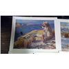 Image 8 : 7 WILDLIFE PRINTS