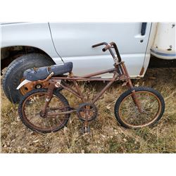 OLD SKYLINE BIKE