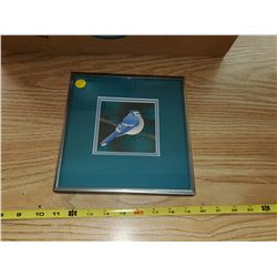 BLUE JAY PRINT BY MAXINE TULLOCH, FRAMED