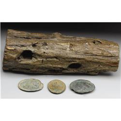 Gettysburg Relics- Tree w/Bullets, Three Plates 