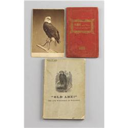 Wisconsin's Civil War Eagle Grouping 