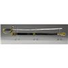 Image 1 : Confederate Foot Officer's Presentation Sword 