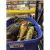 Image 2 : ASSORTED SPORTS GEAR RH & LH HOCKEY STICKS AND BIN OF BASEBALL GLOVES