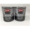 Image 1 : Krylon Rust Protector Gray Primer (2 x 946ml)