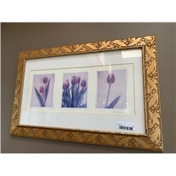 Framed Tulip picture