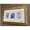 Image 1 : Framed Tulip picture