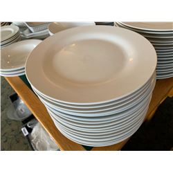 Lot of approx 50 large restaurant plates