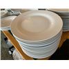 Image 1 : Lot of approx 50 large restaurant plates