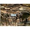 Image 2 : Lot of 5 Antique Branding irons