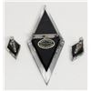 Image 4 : Lucite Brooch and Earrings,