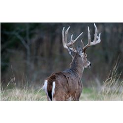 Southeast Iowa - 5 Day Whitetail Hunt for 1 Hunter