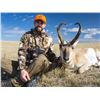 Image 1 : Wyoming - SCOLARI OUTFITTERS Antelope Hunt