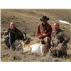 Image 2 : Wyoming - SCOLARI OUTFITTERS Antelope Hunt